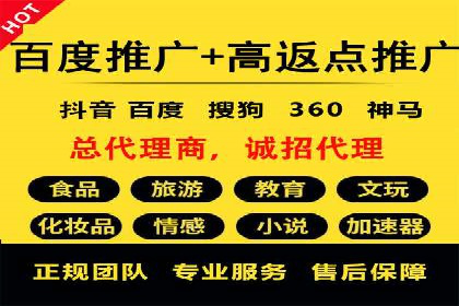 谷歌竞价广告在电商行业的运用案例